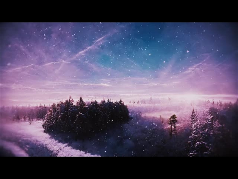 WINTER JOURNEY FOREST
