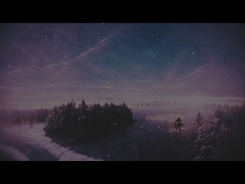 WINTER JOURNEY FOREST ALT