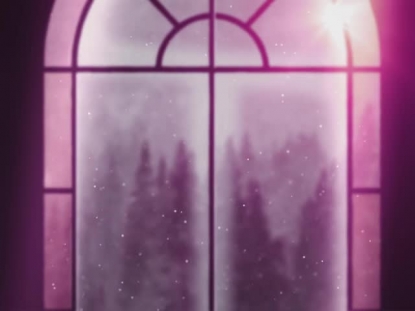 WINTER WINDOWS STYLISH