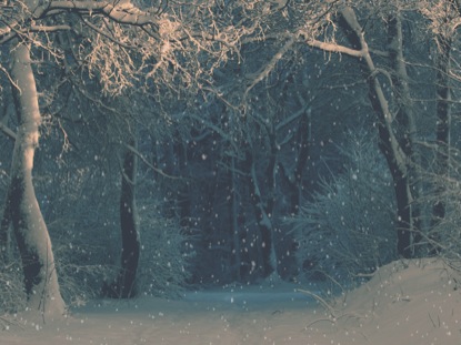 CHRISTMAS RIBBON BLUE SNOW