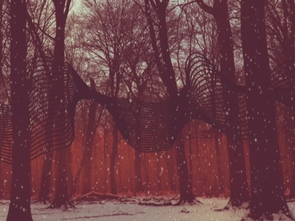 CHRISTMAS RIBBON RED FOREST