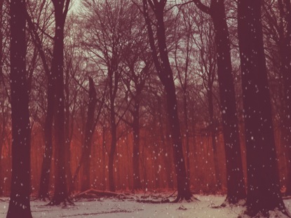 CHRISTMAS RIBBON RED SNOW