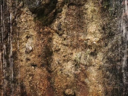 MOUNTAIN TEXTURES WET