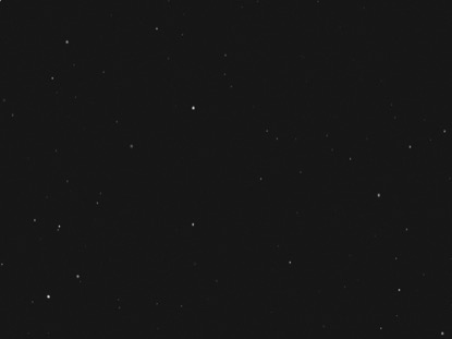 SILENT NIGHT STAR FIELD