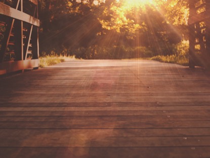 SUMMER LIGHT BRIDGE