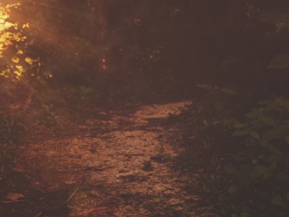 SUMMER LIGHT PATH