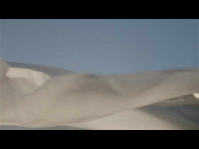 BANNER FLOW MOTION 01