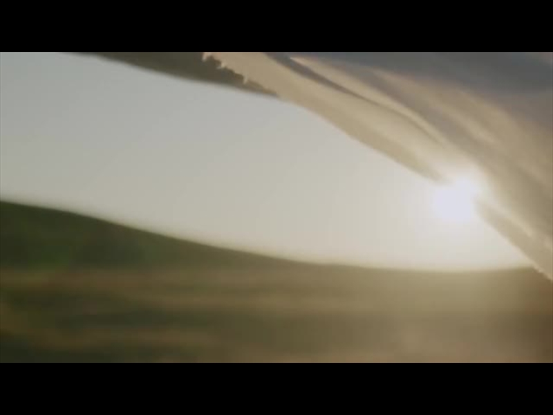 BANNER FLOW MOTION 06