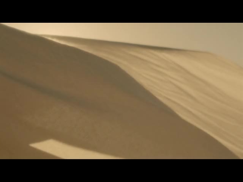 BANNER FLOW MOTION 14