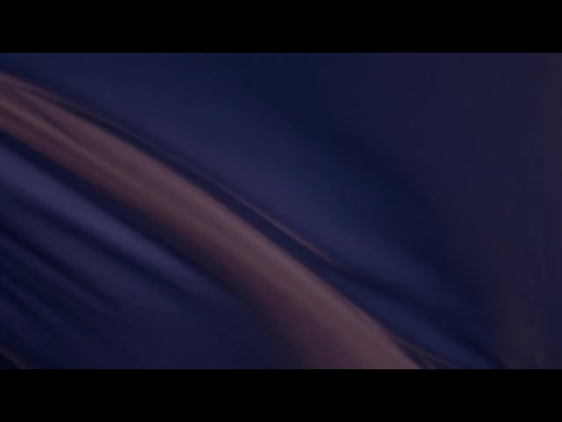 BANNER FLOW MOTION 17