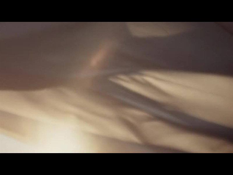 BANNER FLOW MOTION 18