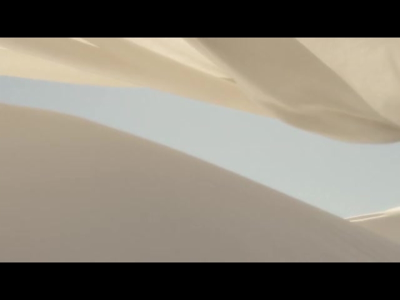 BANNER FLOW MOTION 19