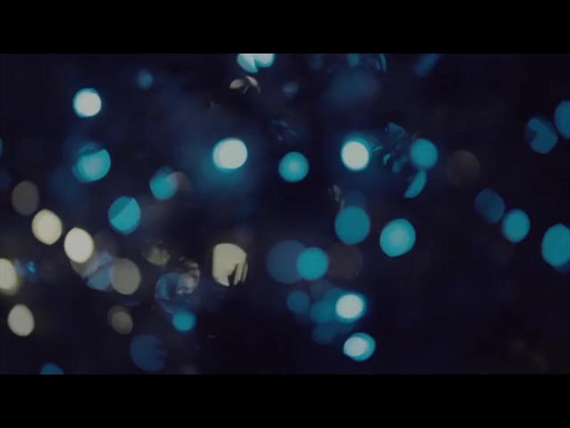 CHRISTMAS LIGHTS: 03