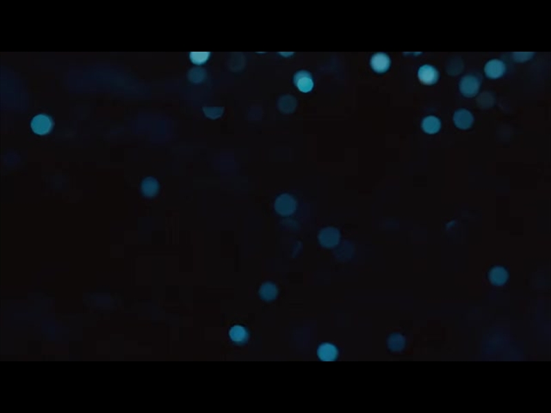 CHRISTMAS LIGHTS: 04