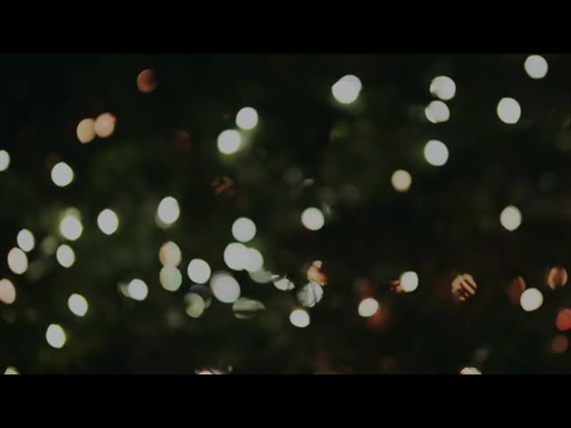 CHRISTMAS LIGHTS: 07