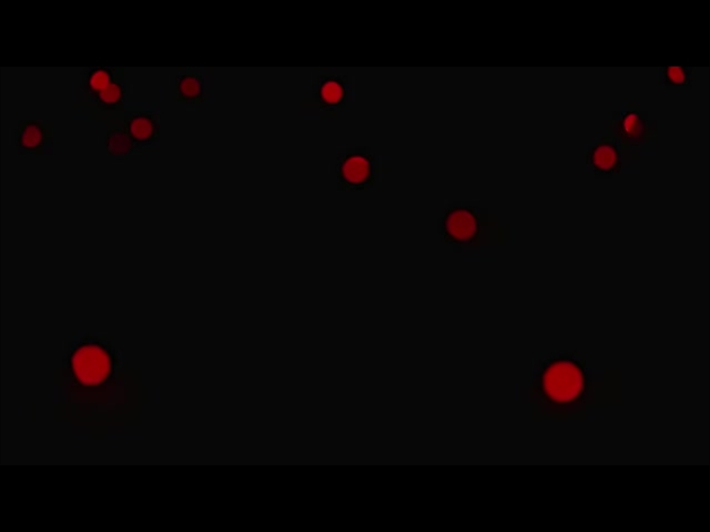 CHRISTMAS LIGHTS: 09