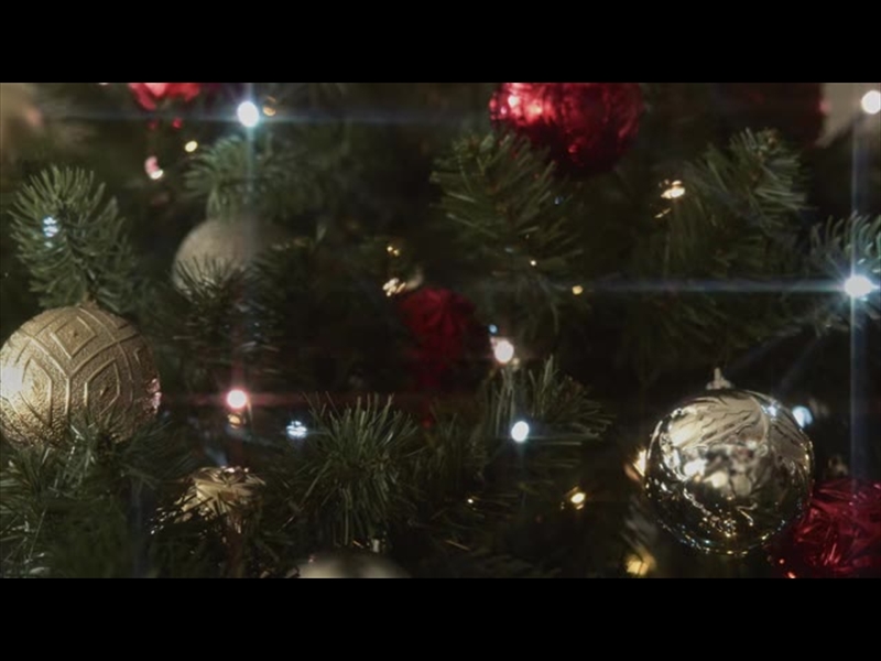 CHRISTMAS LIGHTS II: 13