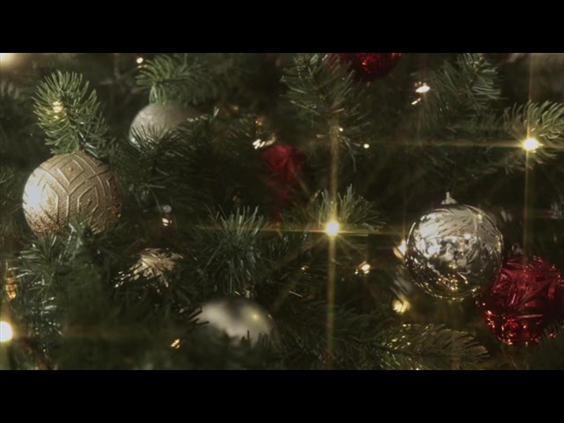 CHRISTMAS LIGHTS II: 14