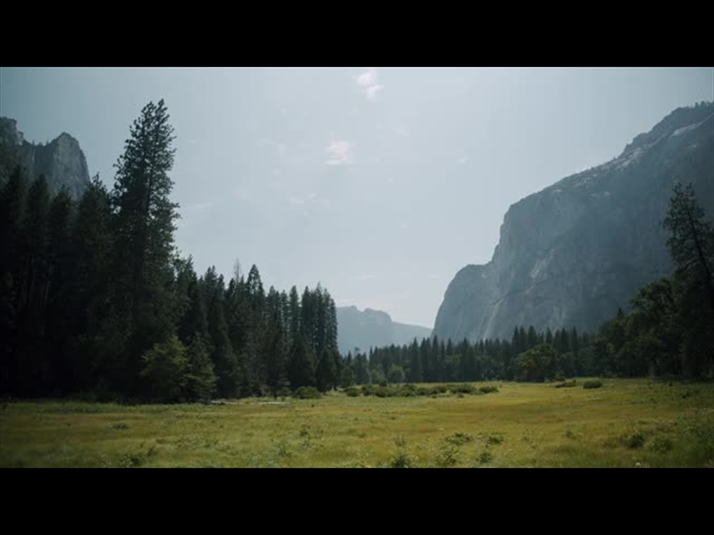 YOSEMITE MEADOWS MOTION - 01