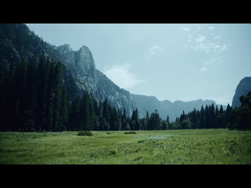 YOSEMITE MEADOWS MOTION - 07