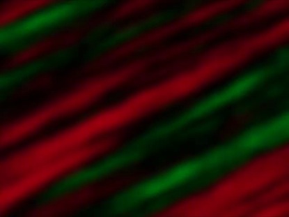 AURORA CHRISTMAS LOOP