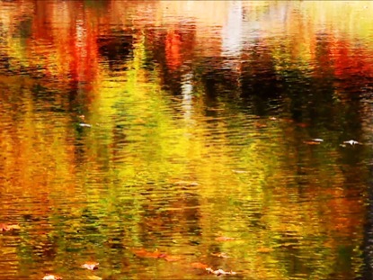 AUTUMN REFLECTION