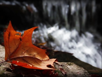 AUTUMN WATERFALL