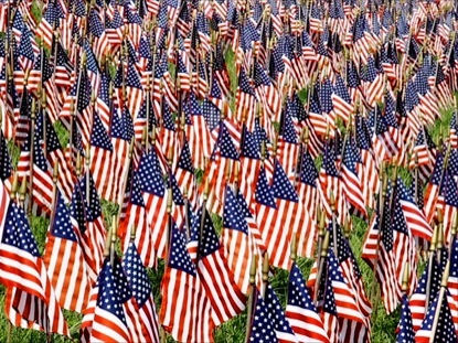 FIELD OF FLAGS