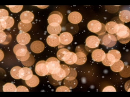 SNOW AND WHITE LIGHTS