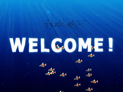 UNDERWATER KIDS TRANSITIONS