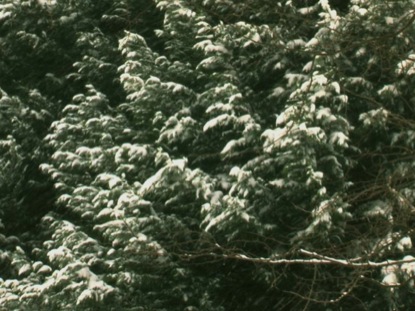 VISUAL CHRISTMAS 4 - 3