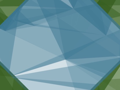 FLAT POLYGONS BLANK 5