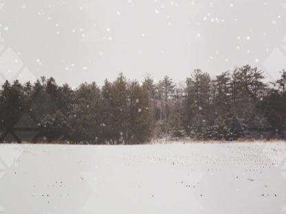 WINTER FOREST FRAME BLANK 3