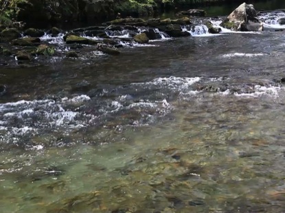 RIVER PEBBLES LONG PLAY