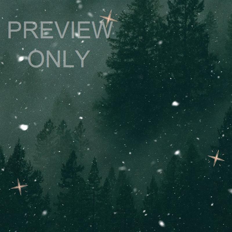 MERRY CHRISTMAS - A SAVIOR IS BORN: SOCIAL GRAPHIC BLANK