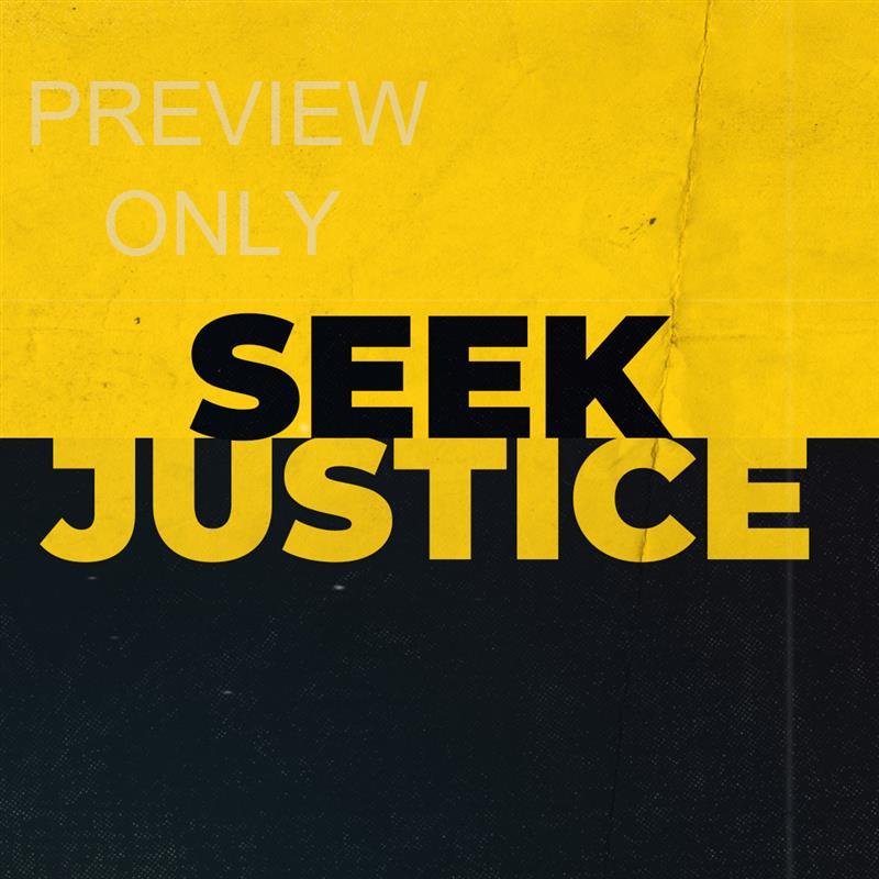 VINTAGE LIGHT SEEK JUSTICE