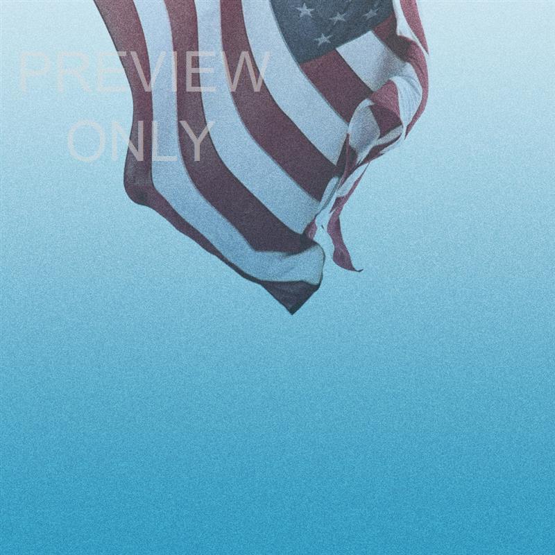 CELEBRATE FREEDOM FLAG BLANK