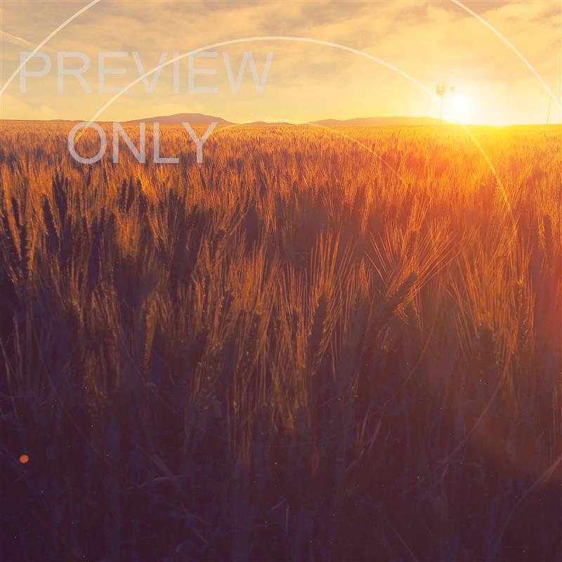 GOLDEN HOUR PSALM 16:8 BLANK