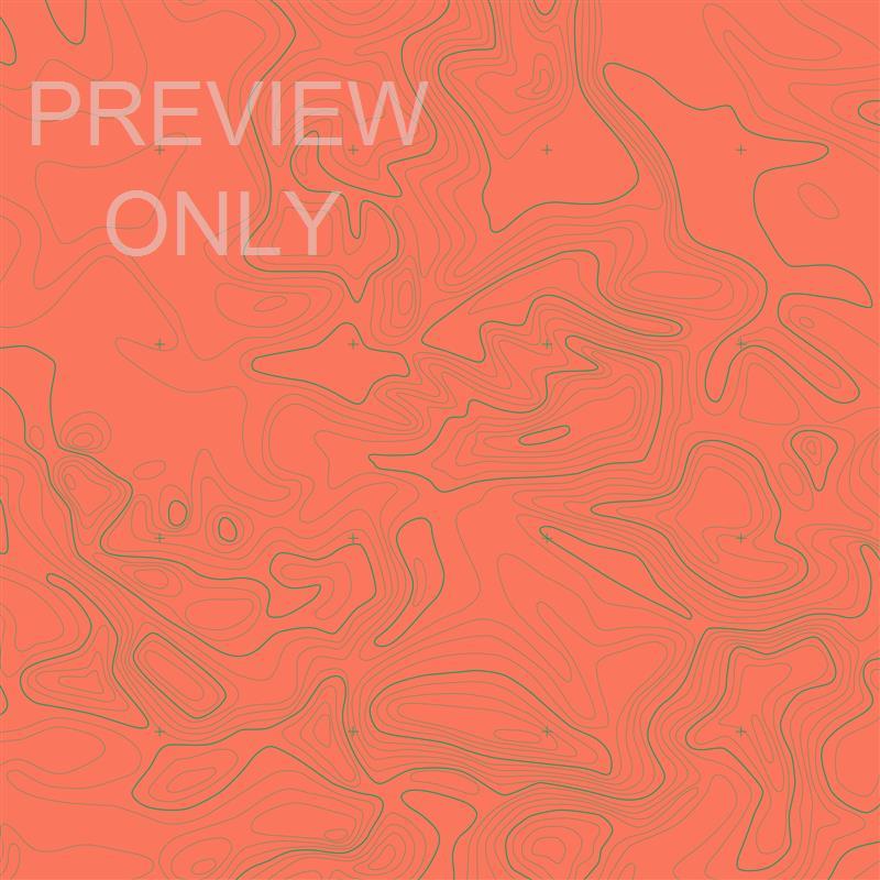 GOSPEL TOPO LUKE BLANK