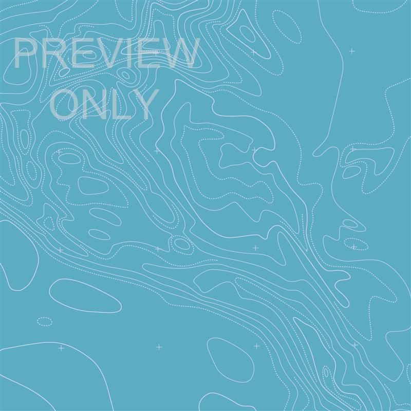 GOSPEL TOPO MARK BLANK