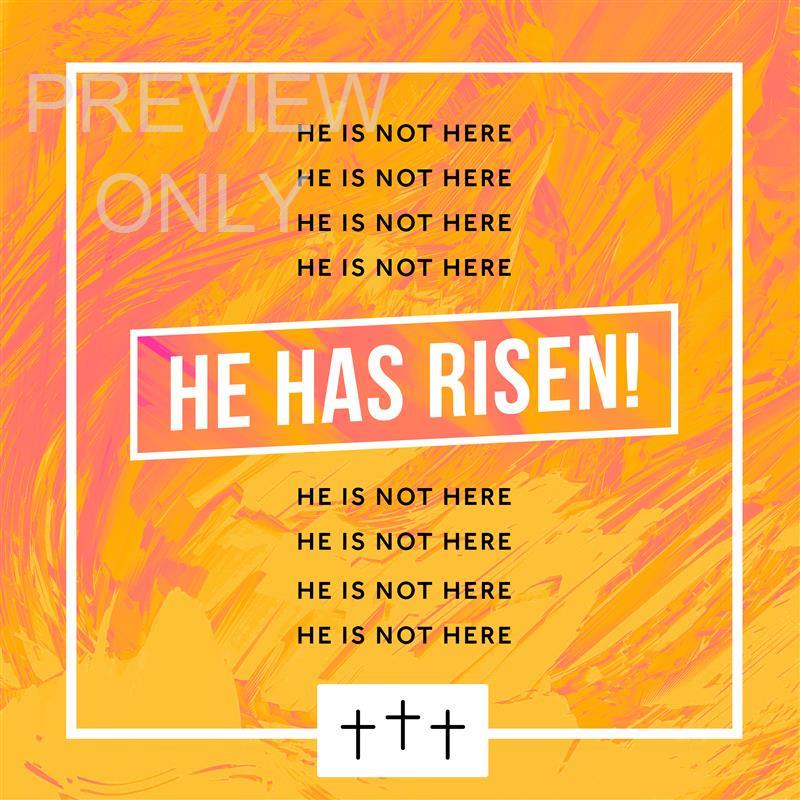 HOLLOW STAR LUKE 24:26