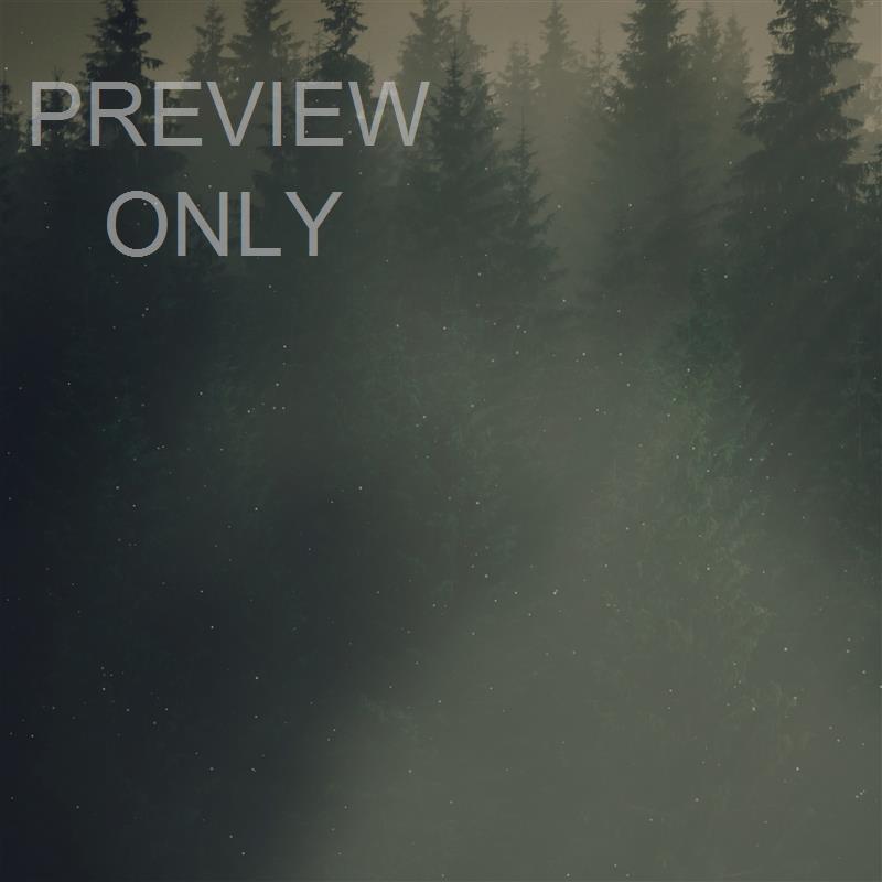 LUMBERJACK DAD GENESIS 18:19 BLANK