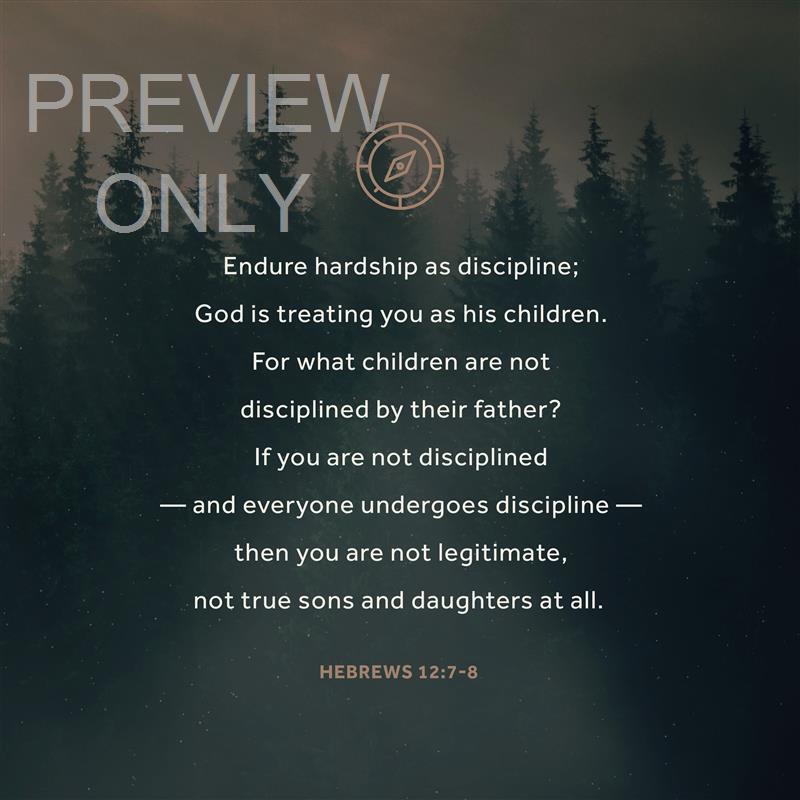 LUMBERJACK DAD HEBREWS 12:7-8