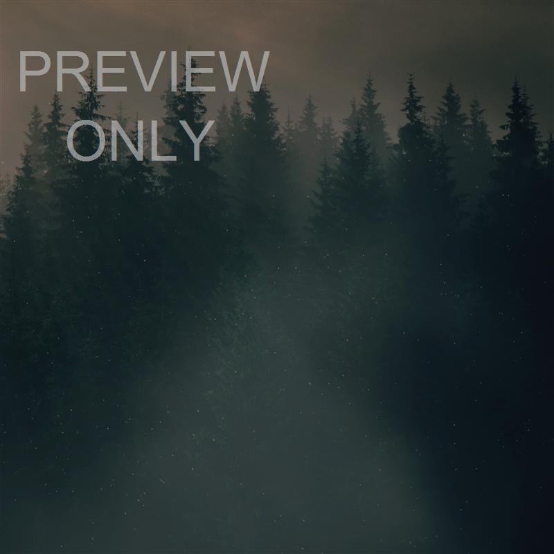 LUMBERJACK DAD HEBREWS 12:7-8 BLANK