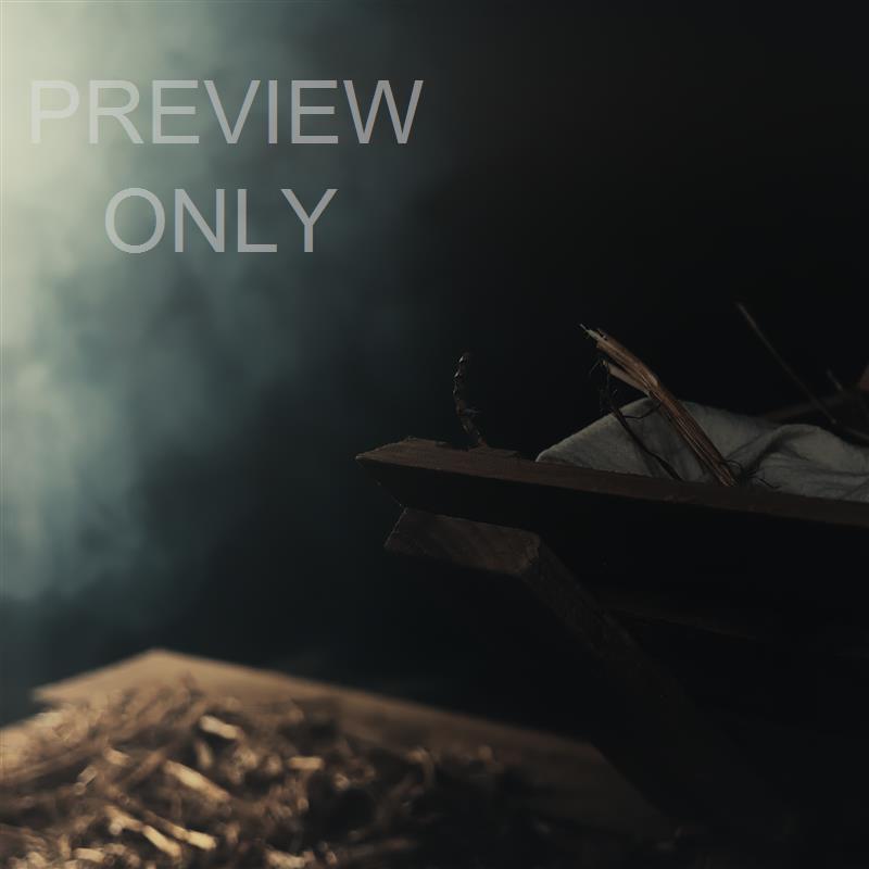 NATIVITY MANGER SUNDAY BLANK