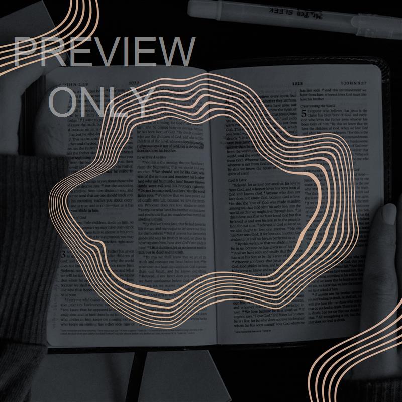 RETRO WAVE BIBLE STUDY BLANK