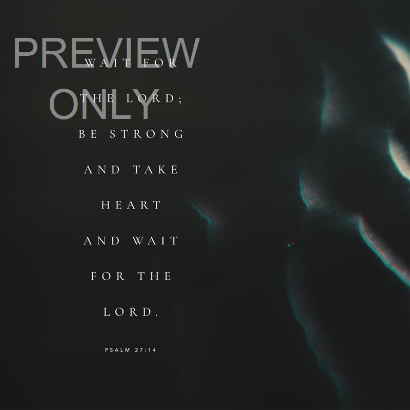 STARK SAND PSALM 27:14