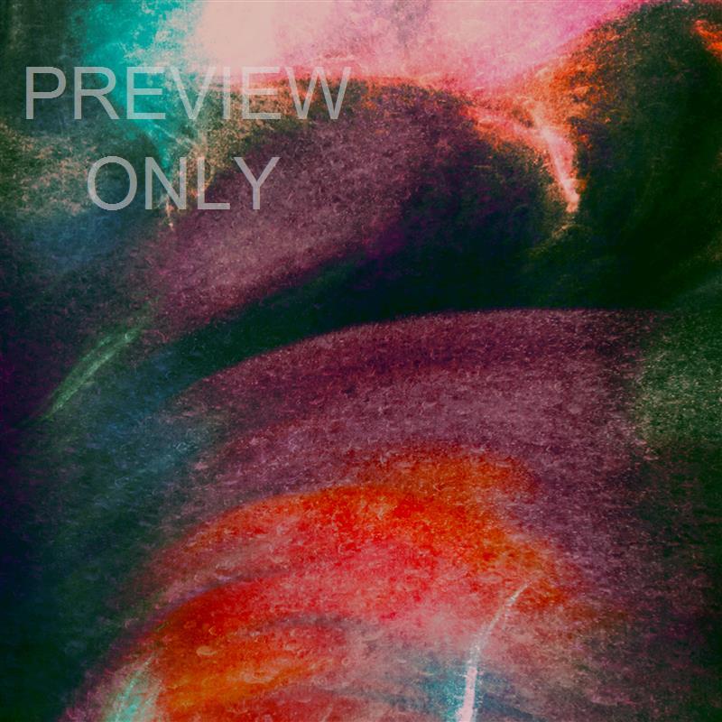 SUBTLE COLOR SPIRIT LEAD US BLANK