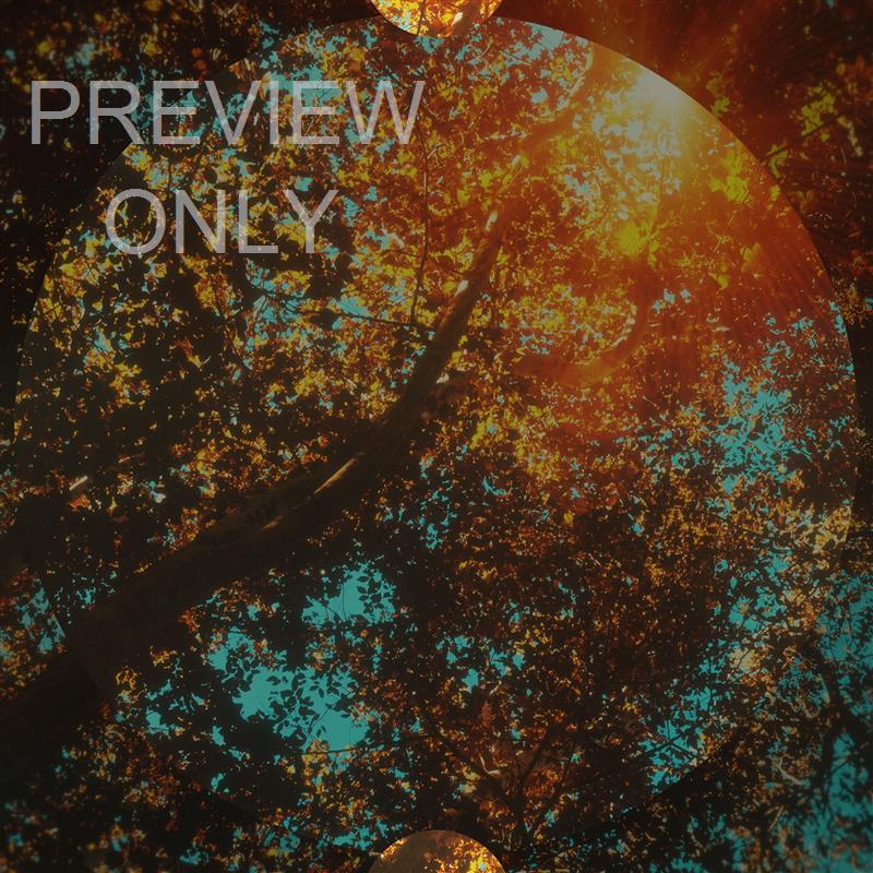 SUNDAY AUTUMN CANOPIES BLANK