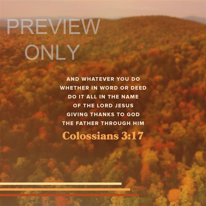 THANKSGIVING FLIGHT COLOSSIANS 3:17